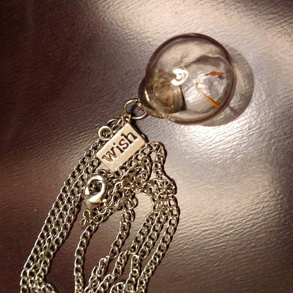 Wish Necklace in Silvertone
